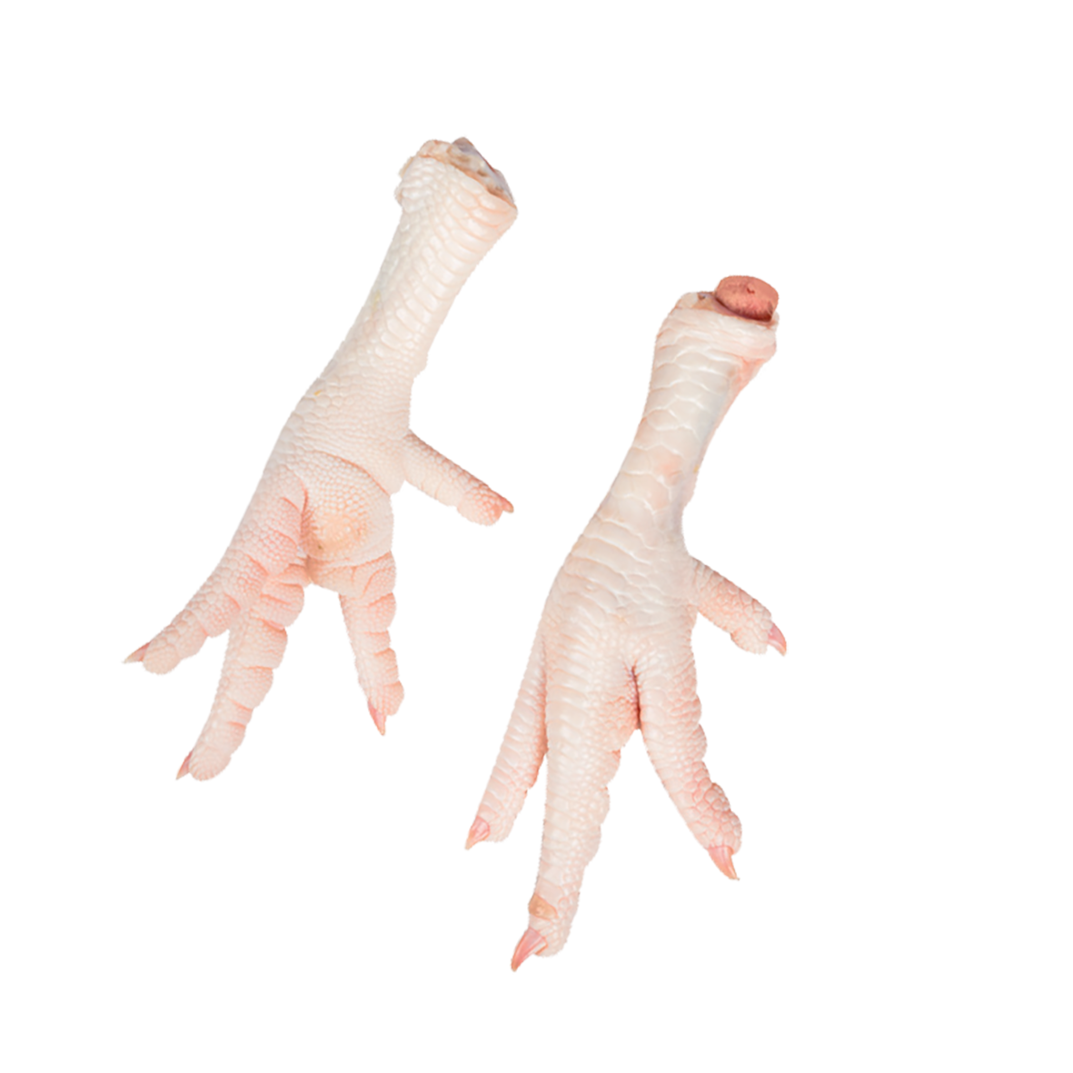 Ноги цыплят-бройлеров-image